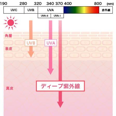 ディープ紫外線 UVB UVA 波長の比較