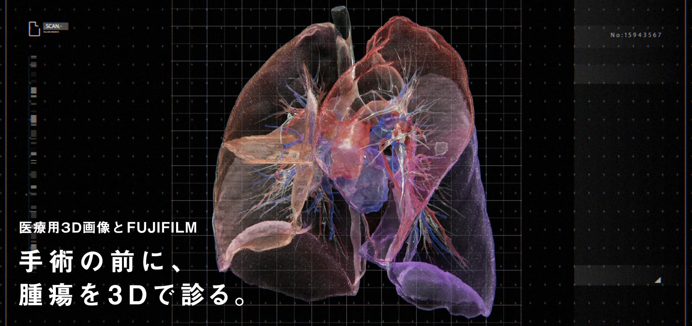 富士フイルム 3D解析 研究員