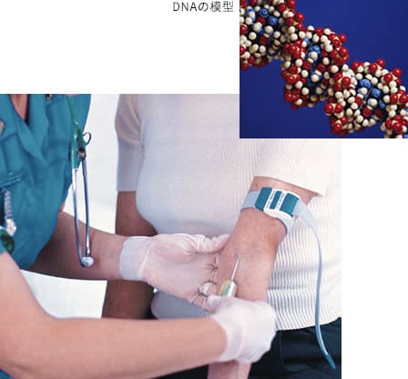 血液検査の様子とDNA模型